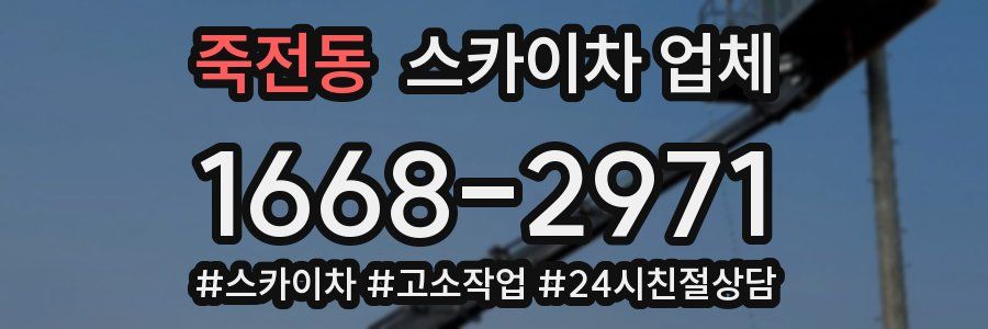 죽전동 스카이차 업체