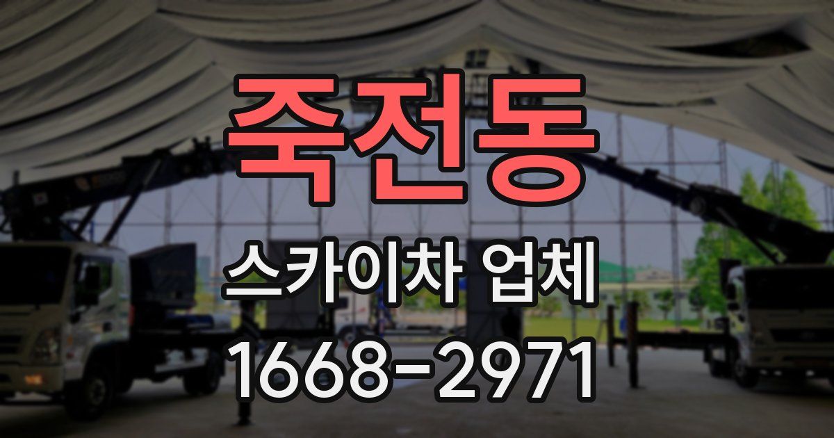 죽전동 스카이차 업체