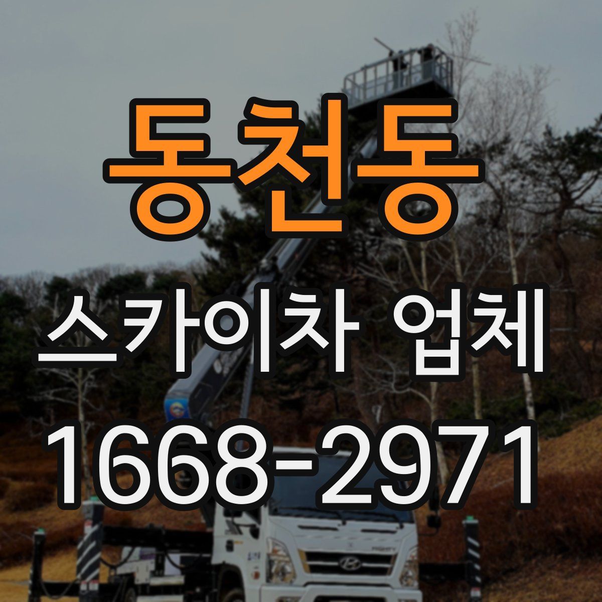 동천동 스카이차 업체
