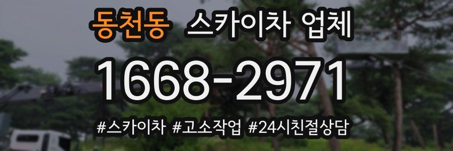 동천동 스카이차 업체