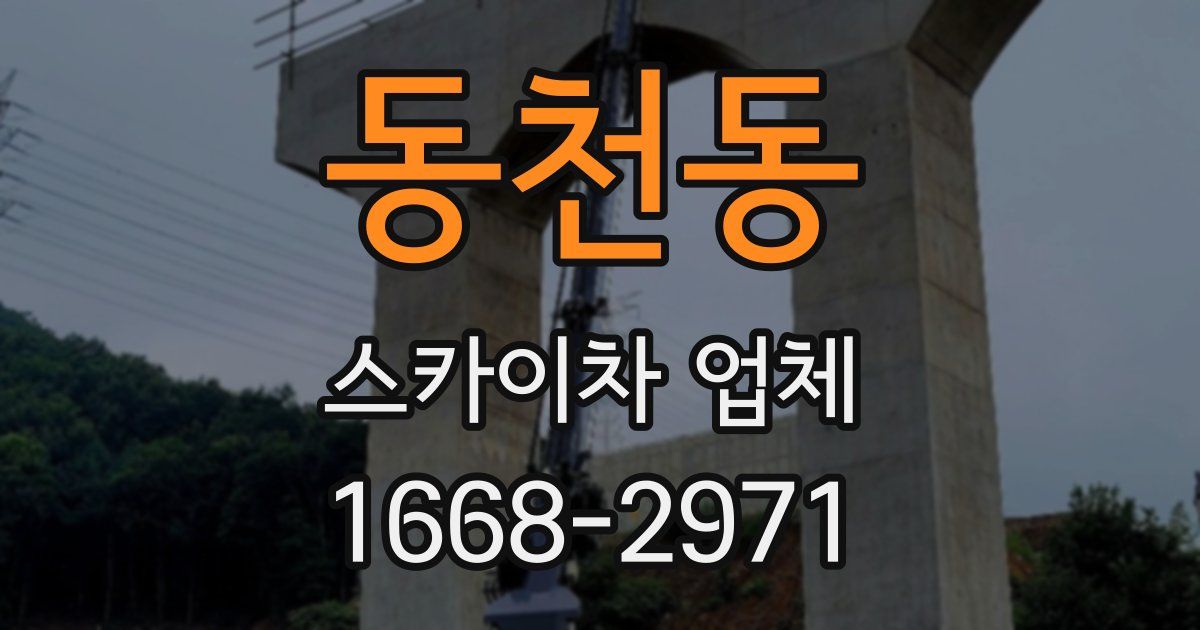 동천동 스카이차 업체