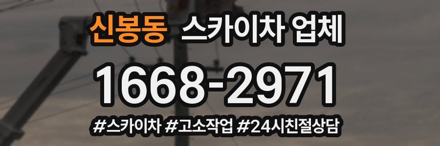 신봉동 스카이차 업체