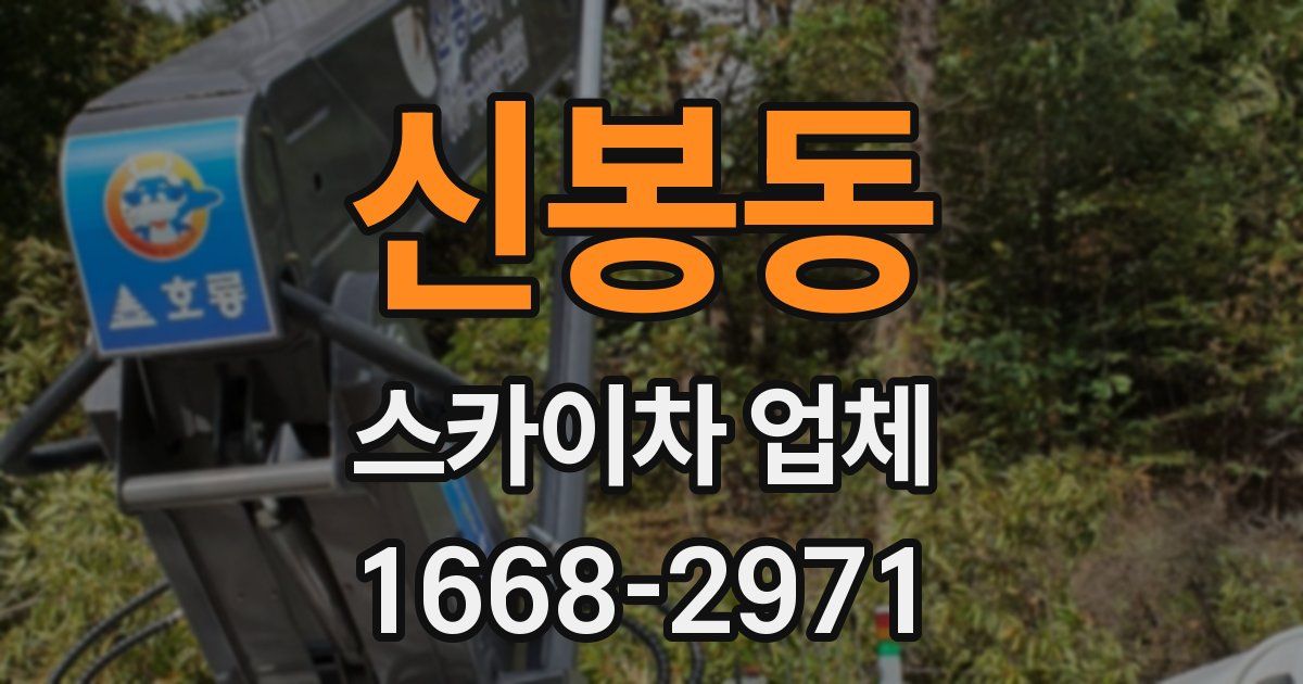 신봉동 스카이차 업체