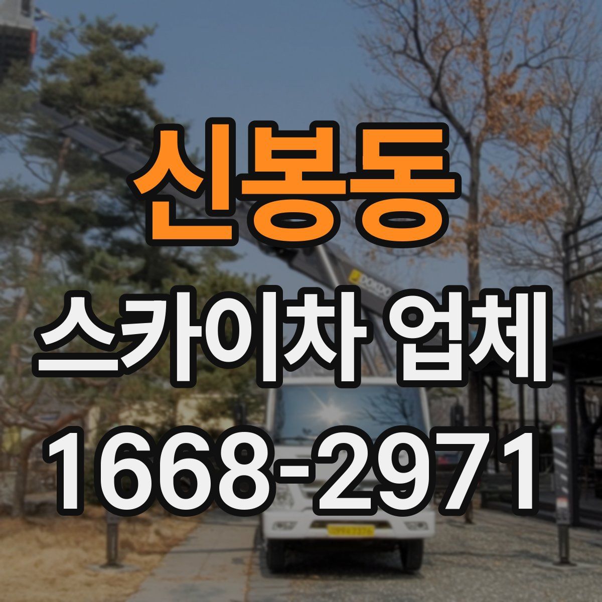 신봉동 스카이차 업체