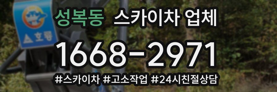 성복동 스카이차 업체