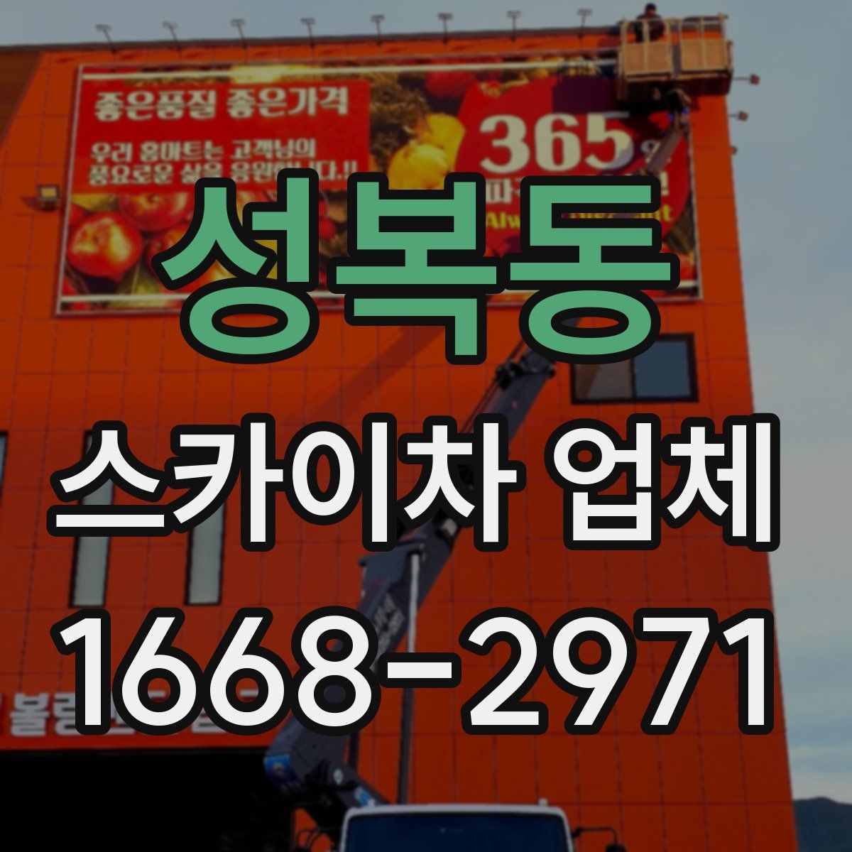 성복동 스카이차 업체