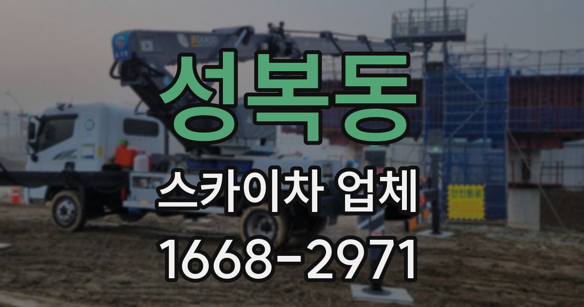 성복동 스카이차 업체