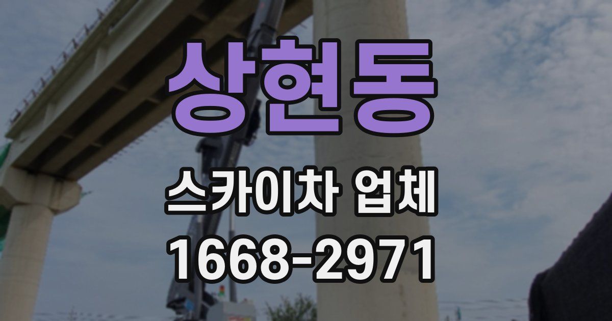 상현동 스카이차 업체