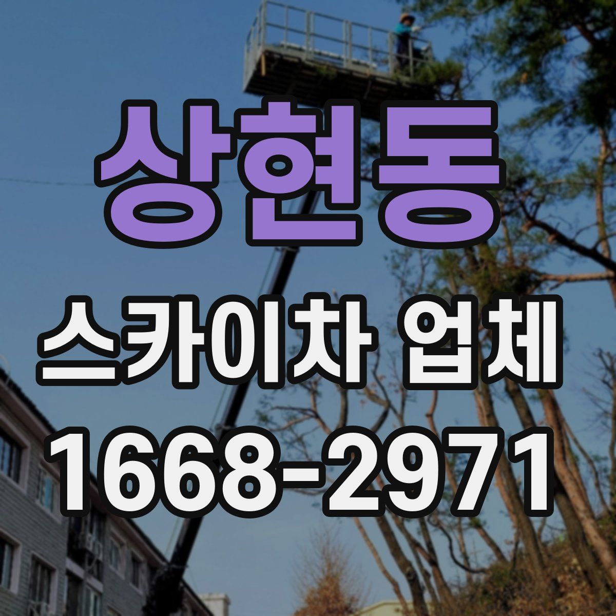 상현동 스카이차 업체
