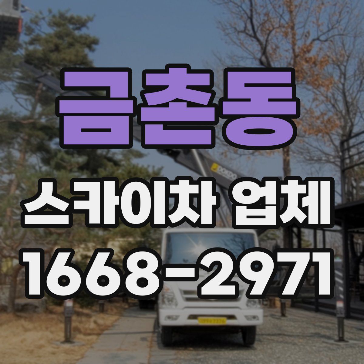 금촌동 스카이차 업체