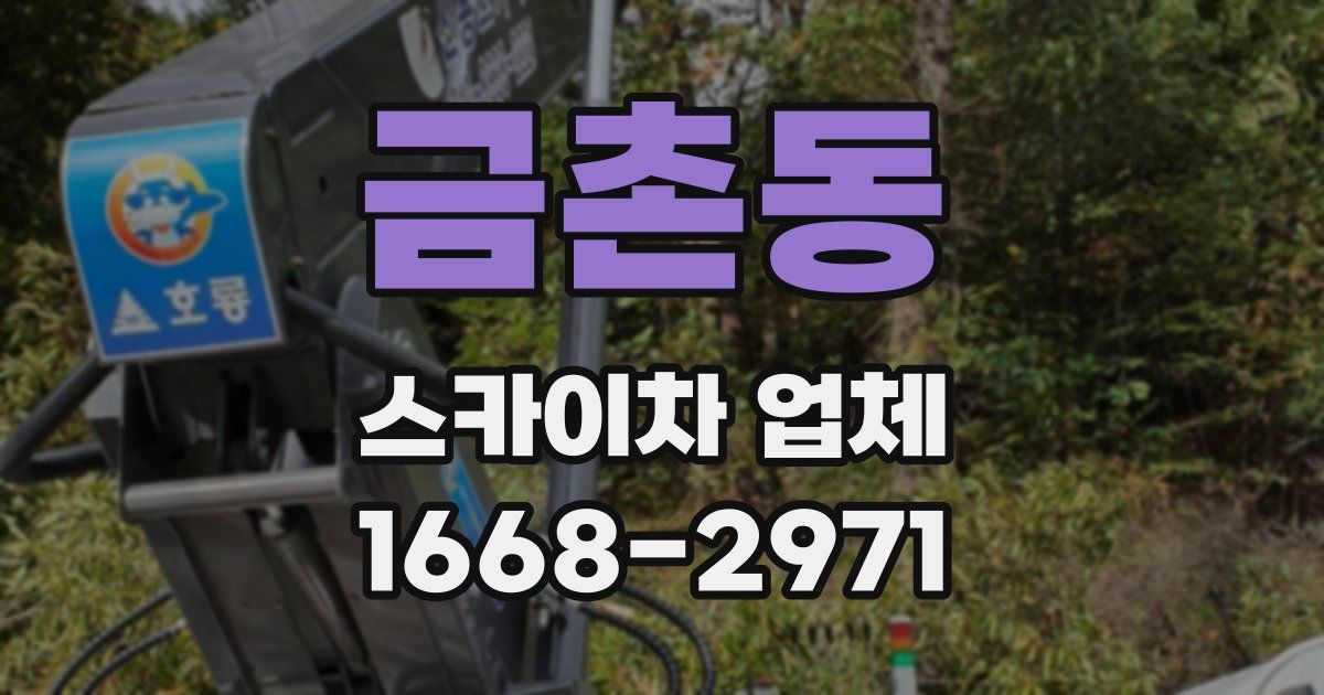 금촌동 스카이차 업체