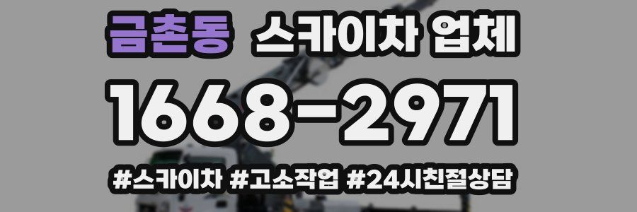 금촌동 스카이차 업체