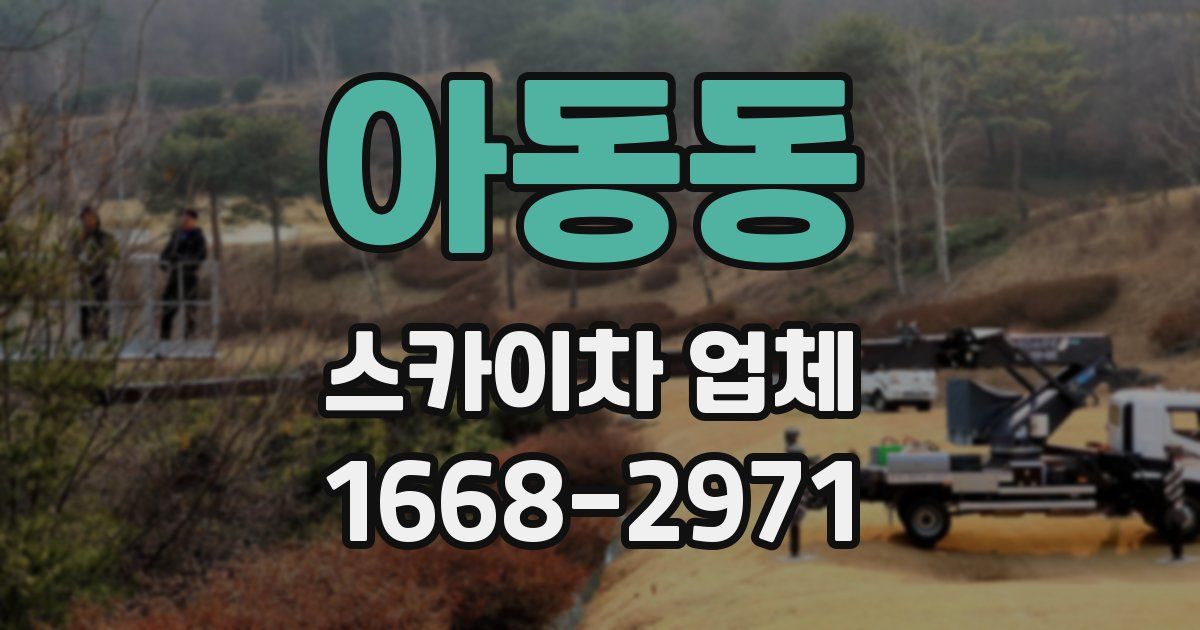 아동동 스카이차 업체