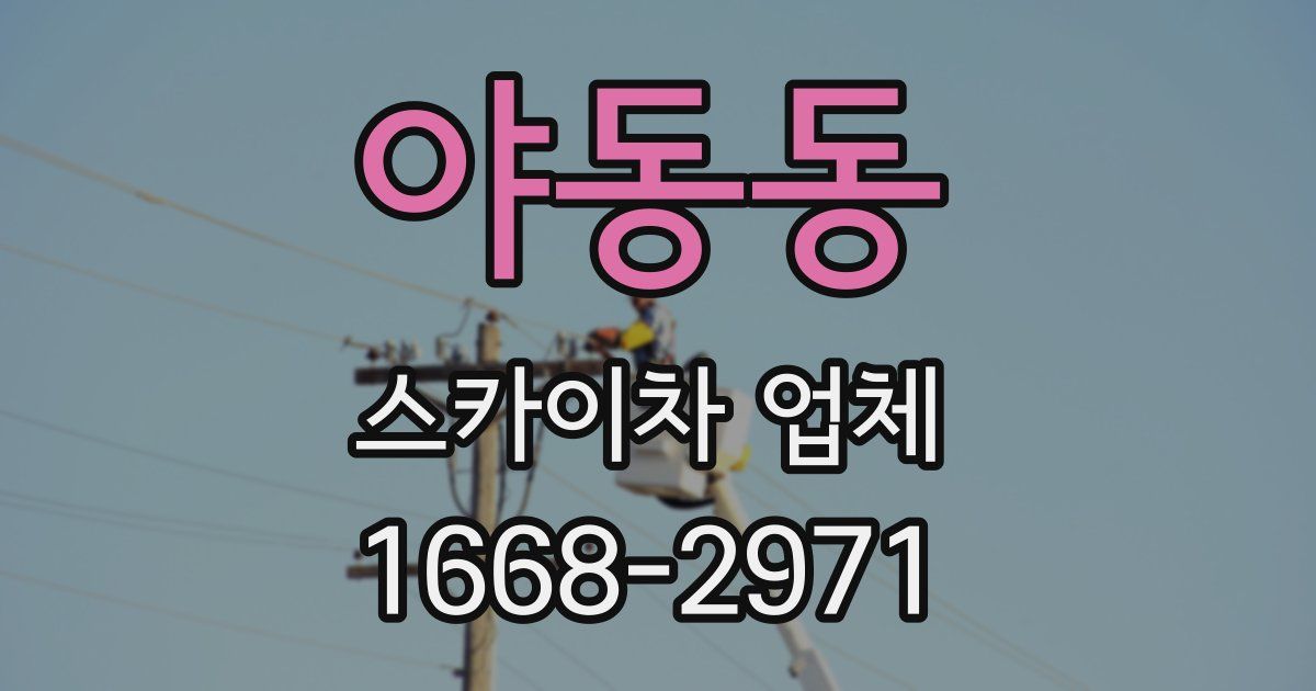 야동동 스카이차 업체