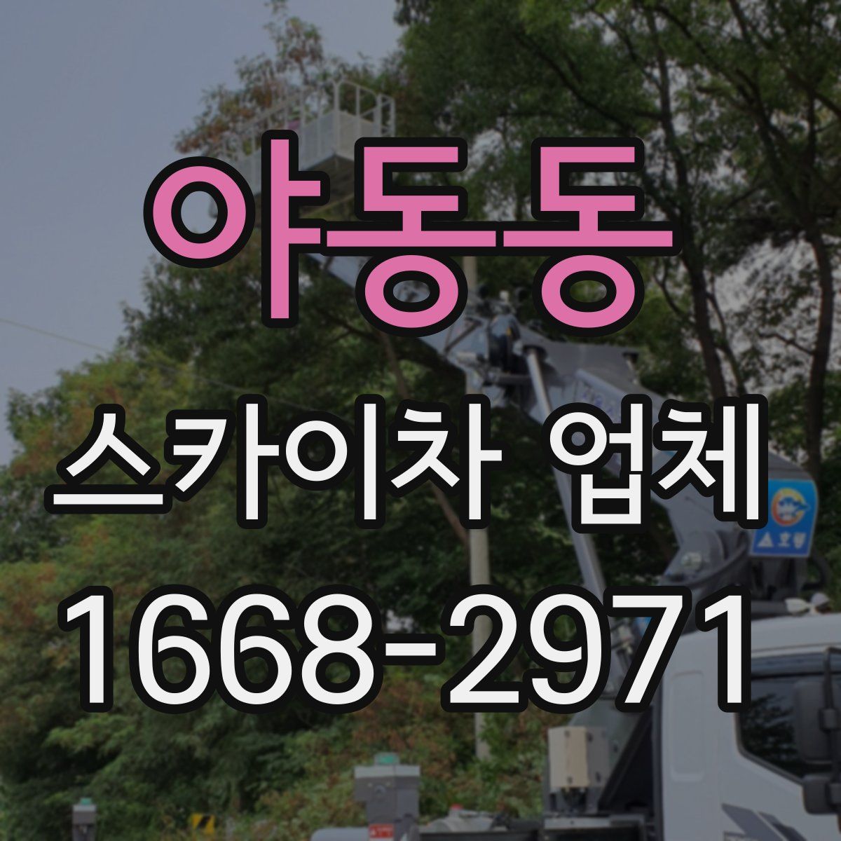 야동동 스카이차 업체