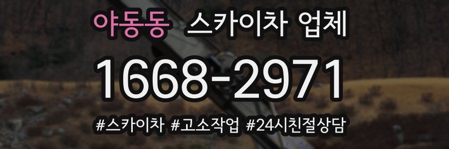 야동동 스카이차 업체