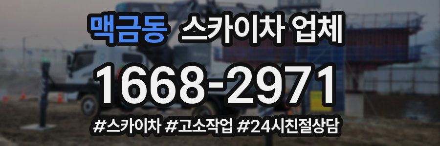 맥금동 스카이차 업체