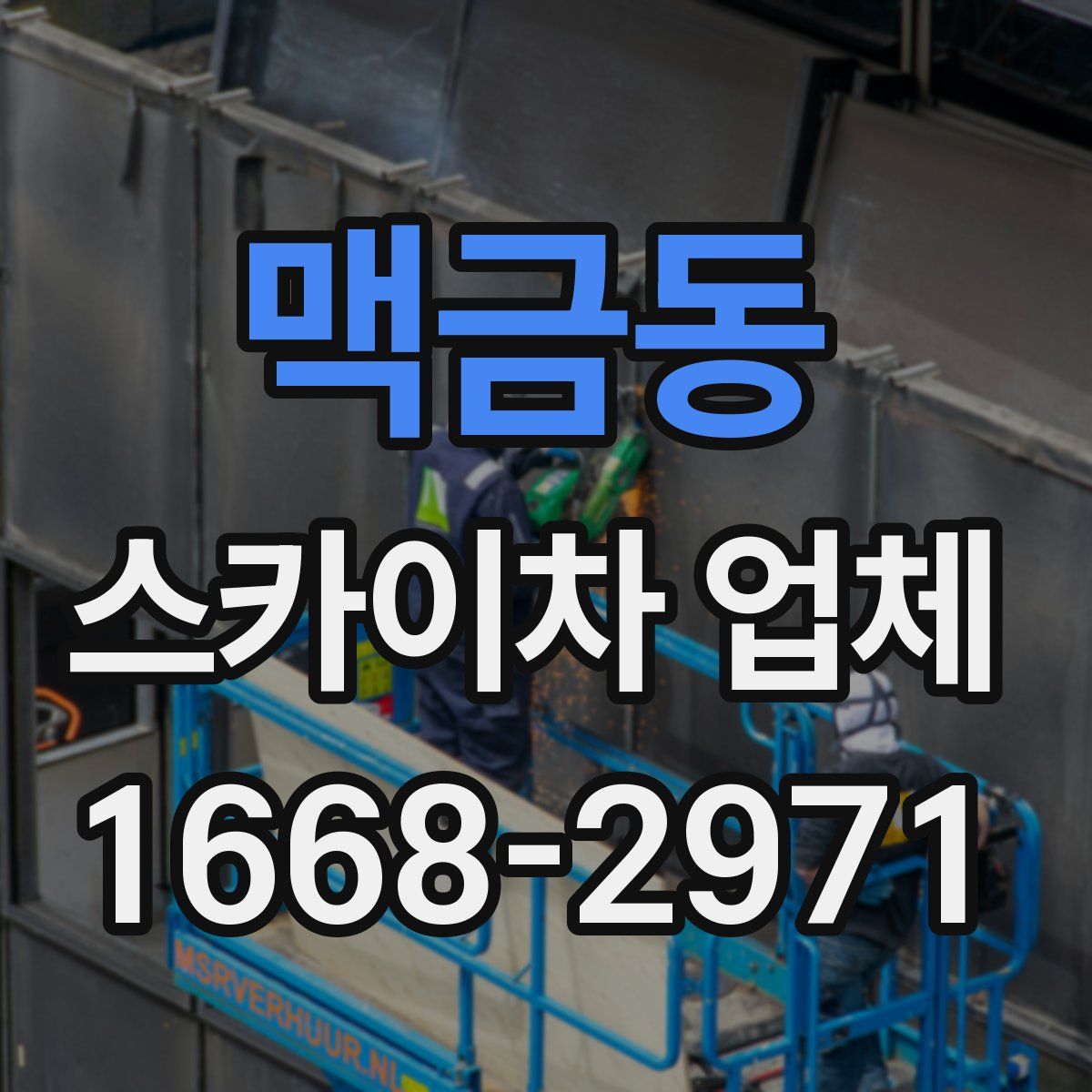 맥금동 스카이차 업체