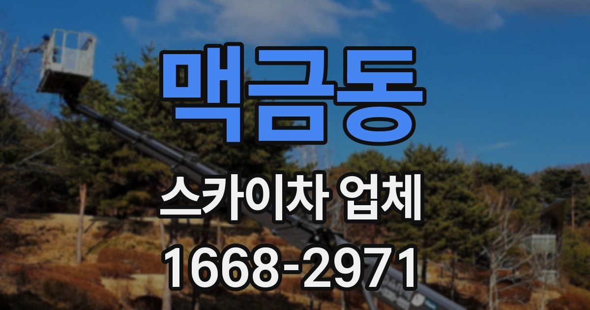 맥금동 스카이차 업체