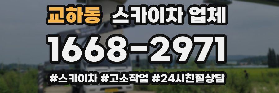 교하동 스카이차 업체