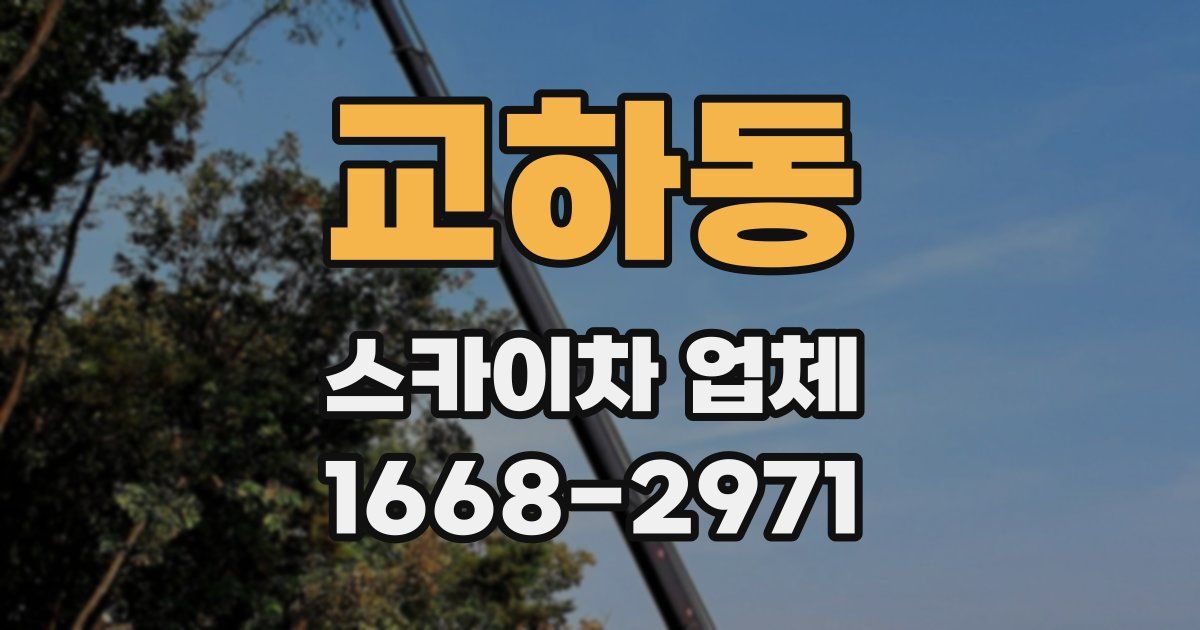 교하동 스카이차 업체