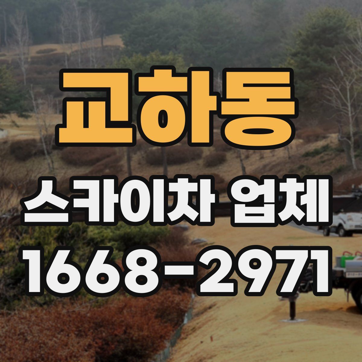 교하동 스카이차 업체