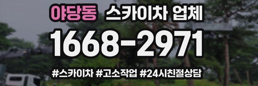 야당동 스카이차 업체
