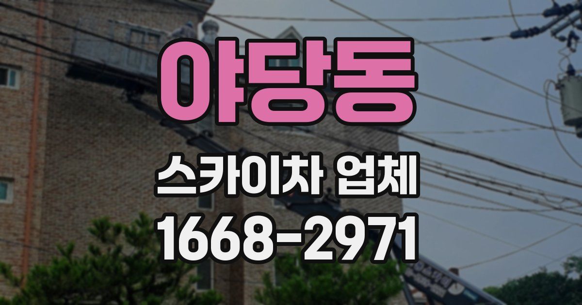 야당동 스카이차 업체