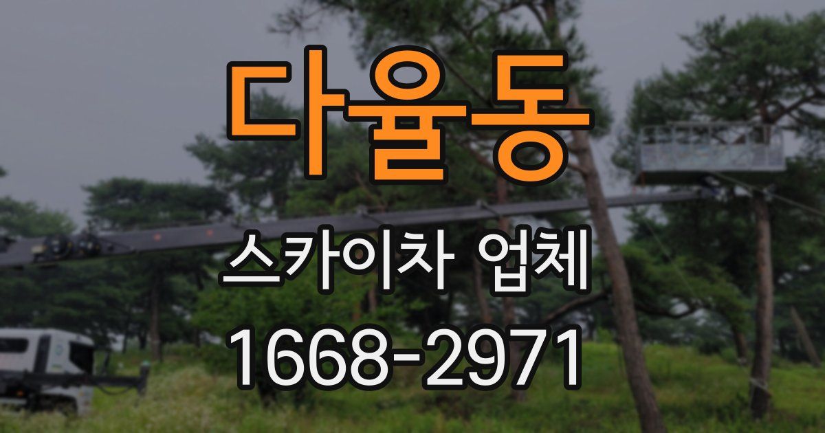 다율동 스카이차 업체