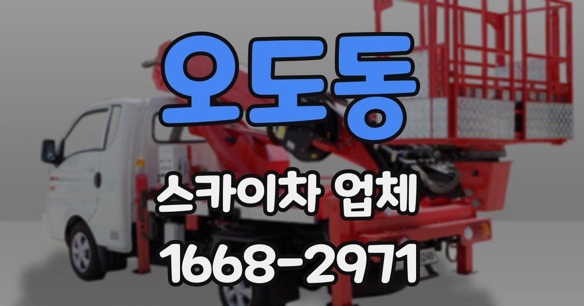오도동 스카이차 업체
