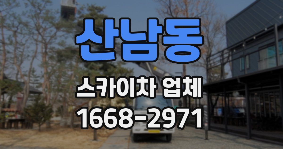 산남동 스카이차 업체
