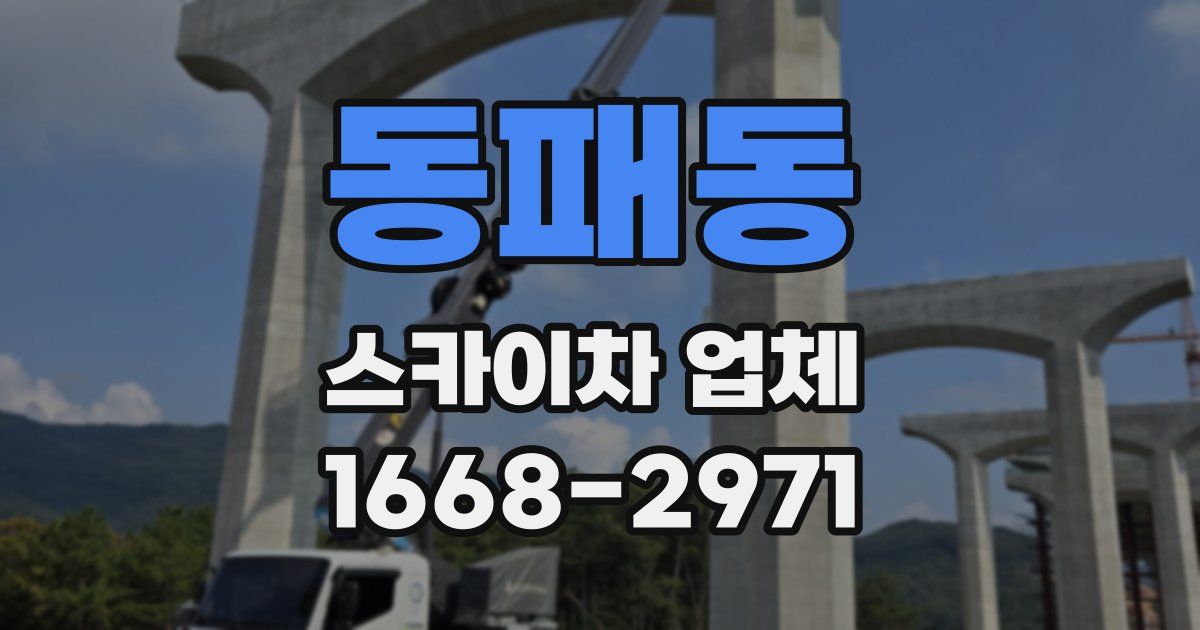 동패동 스카이차 업체