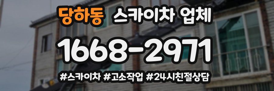 당하동 스카이차 업체