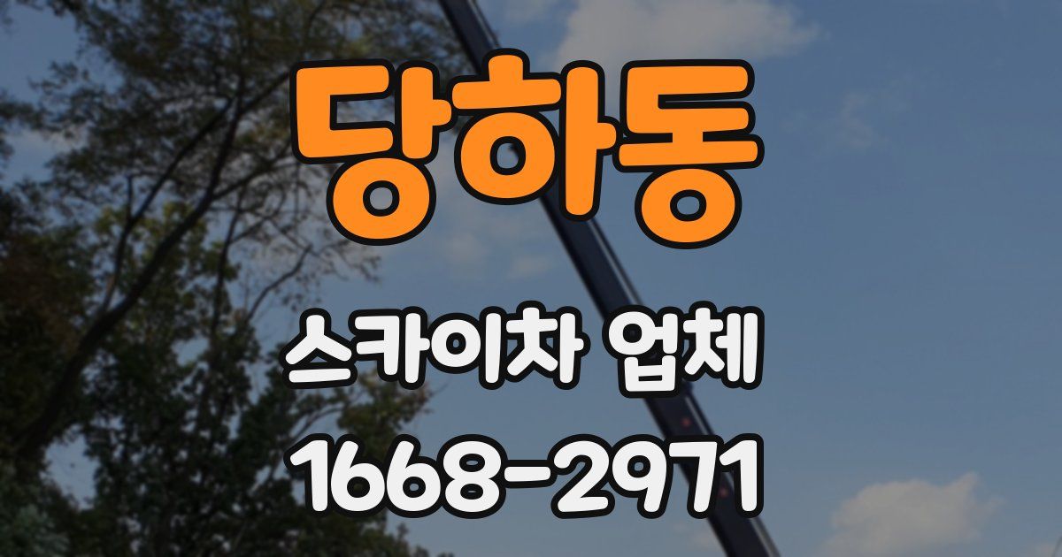 당하동 스카이차 업체