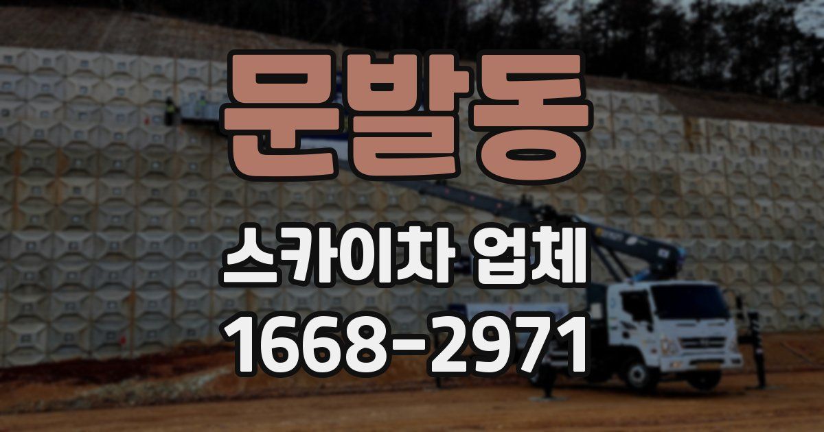 문발동 스카이차 업체