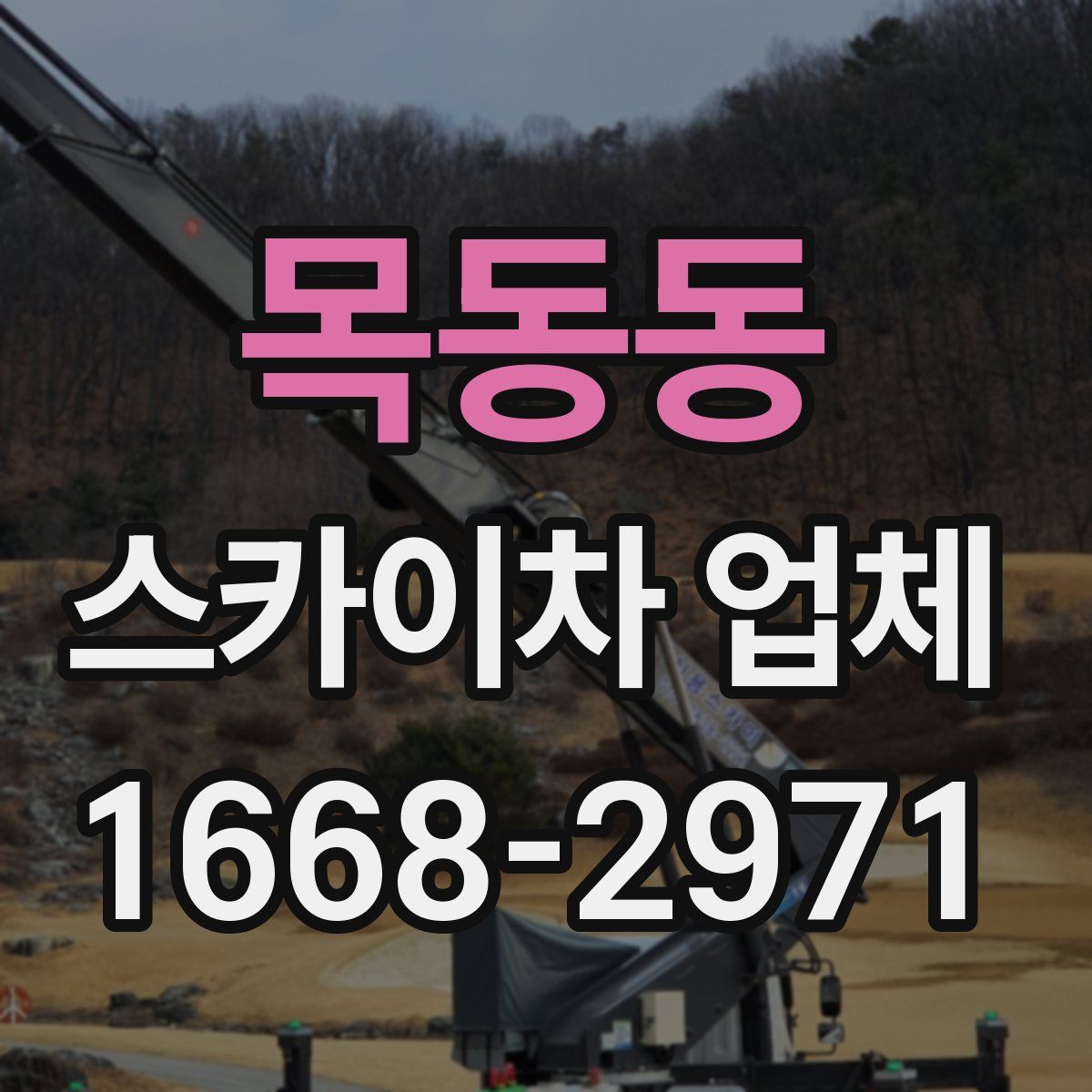 목동동 스카이차 업체