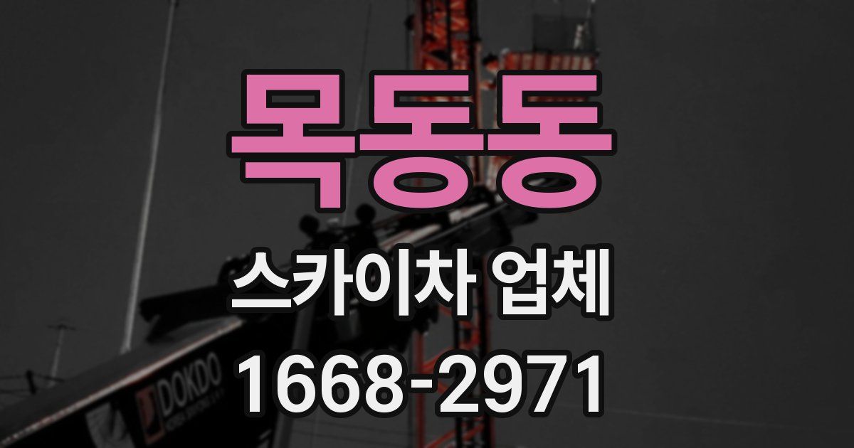 목동동 스카이차 업체