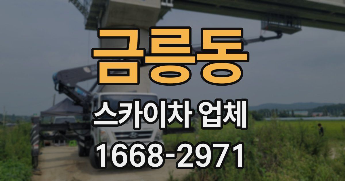 금릉동 스카이차 업체