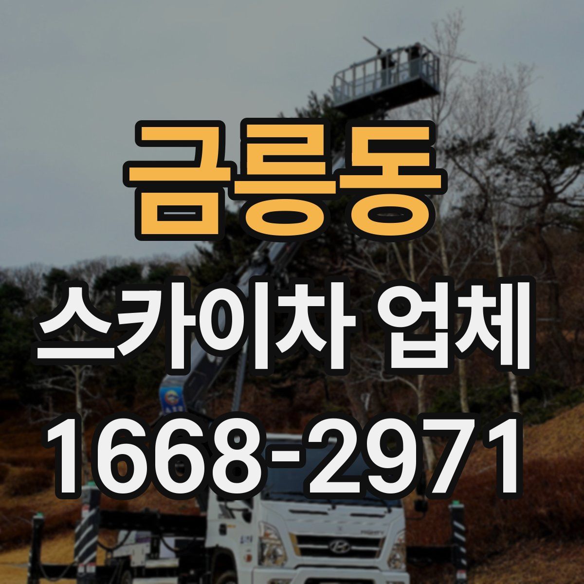 금릉동 스카이차 업체