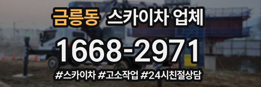 금릉동 스카이차 업체