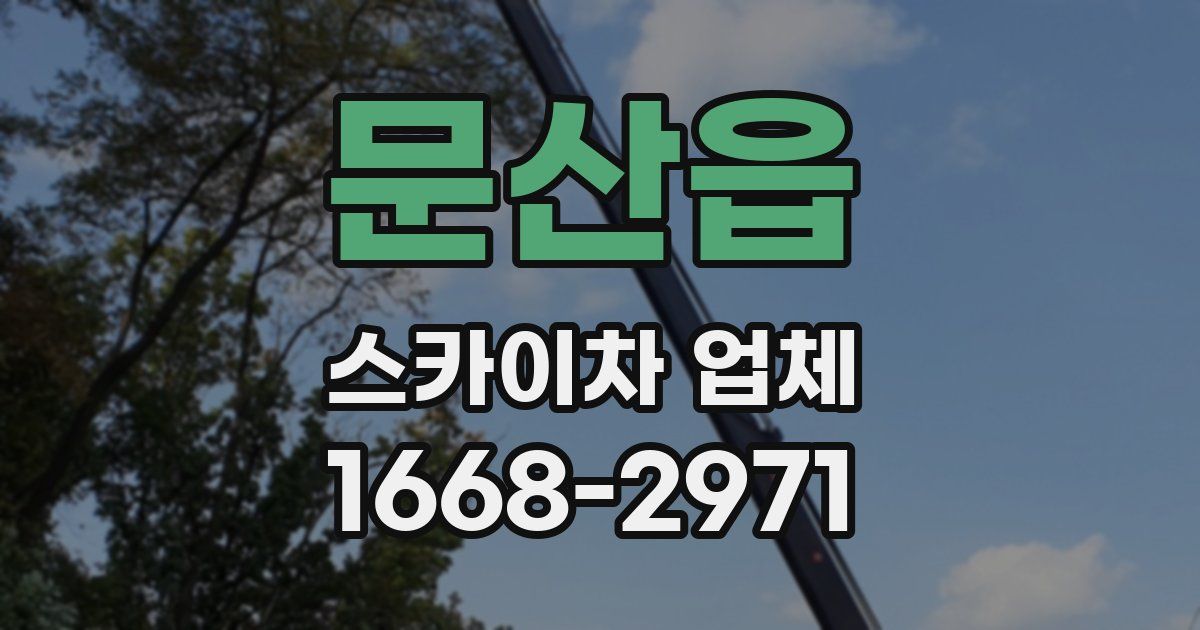 문산읍 스카이차 업체