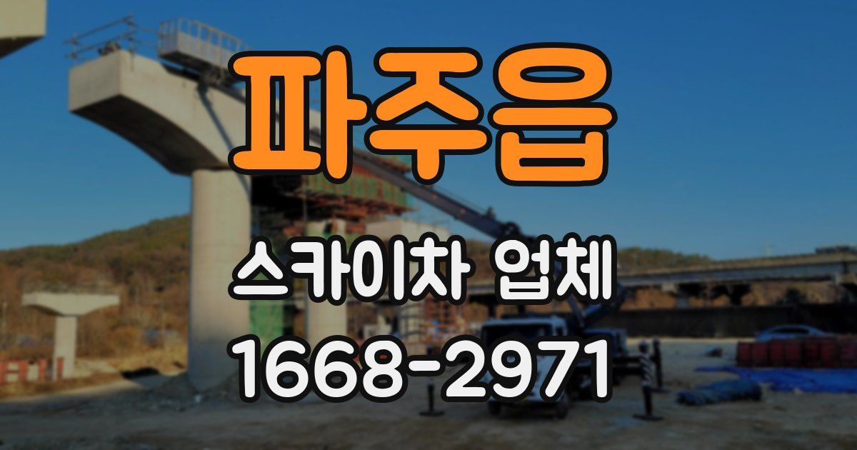 파주읍 스카이차 업체