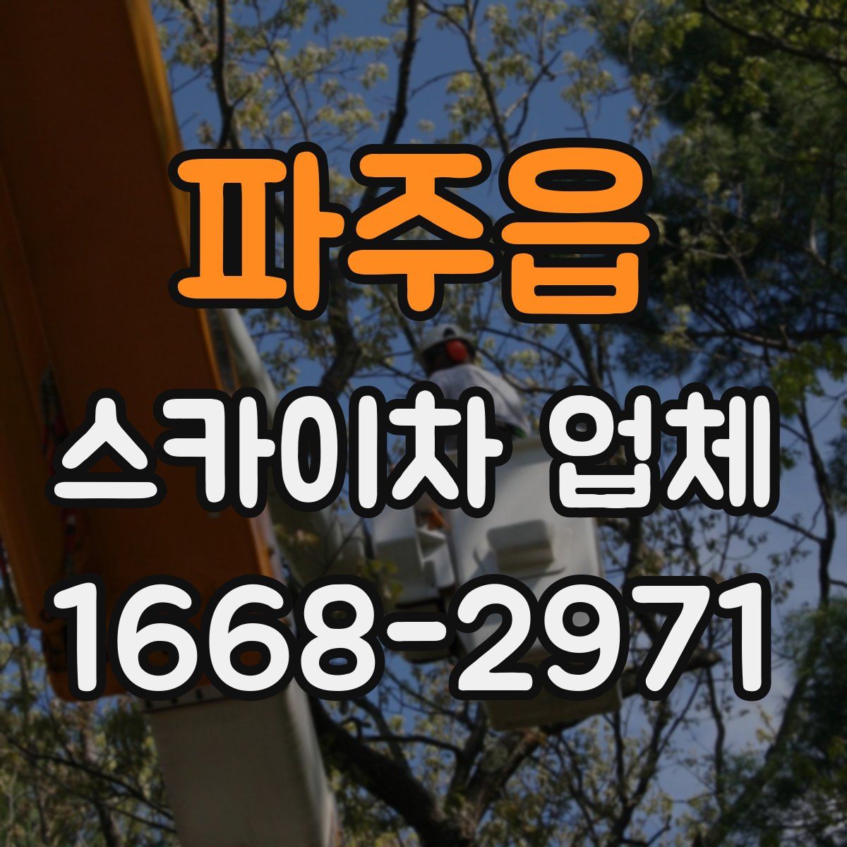 파주읍 스카이차 업체