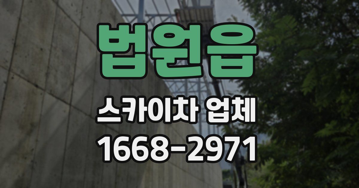 법원읍 스카이차 업체