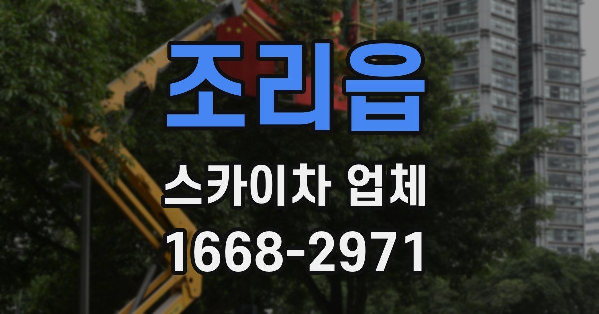 조리읍 스카이차 업체