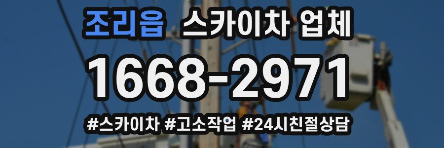 조리읍 스카이차 업체