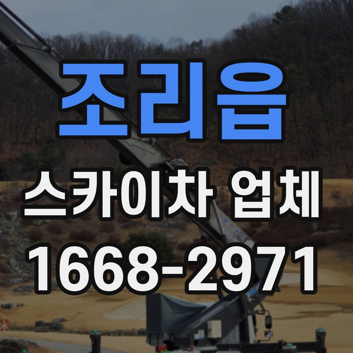 조리읍 스카이차 업체