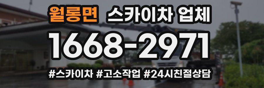월롱면 스카이차 업체