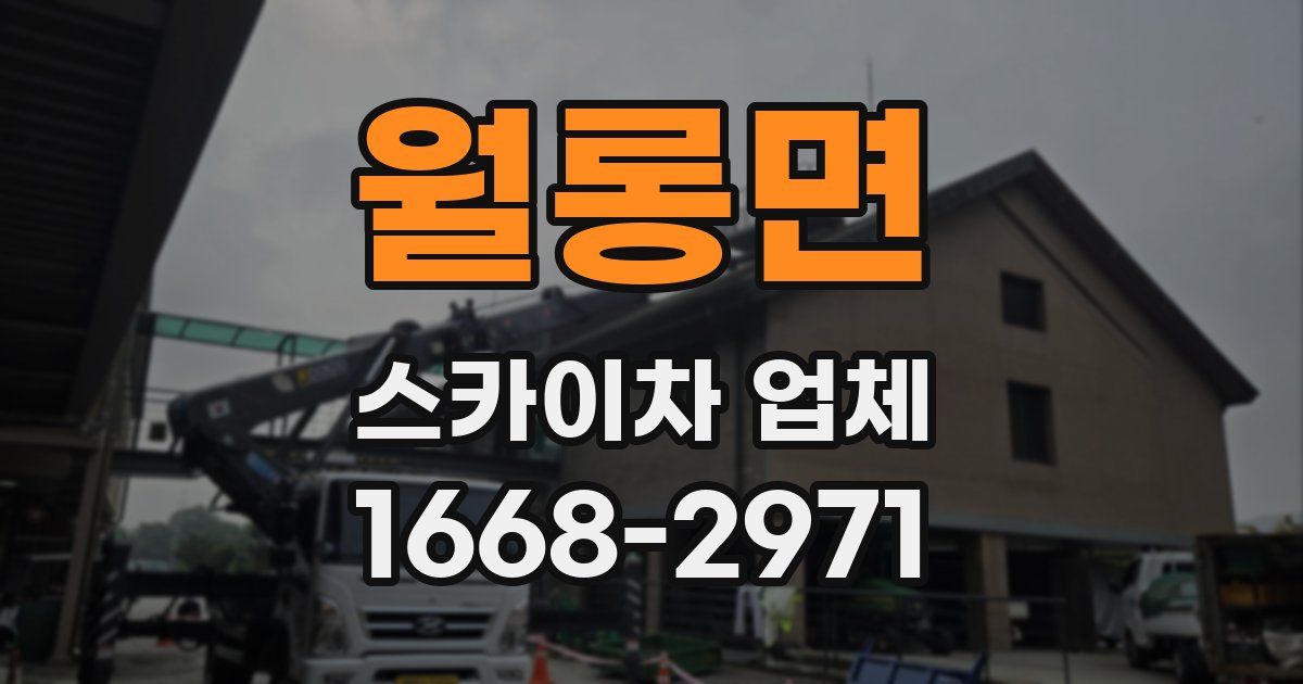 월롱면 스카이차 업체