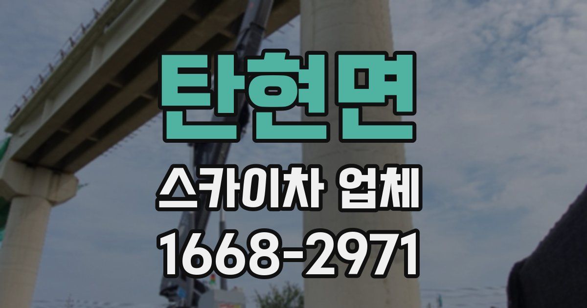 탄현면 스카이차 업체